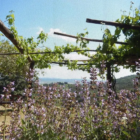 Agriturismo Le Foreste Suvereto