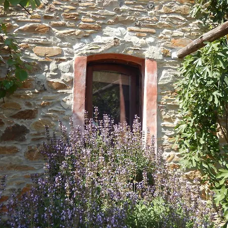 Bed & Breakfast Agriturismo Le Foreste Suvereto