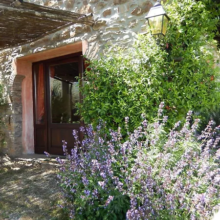 B&B Agriturismo Le Foreste 수베레토